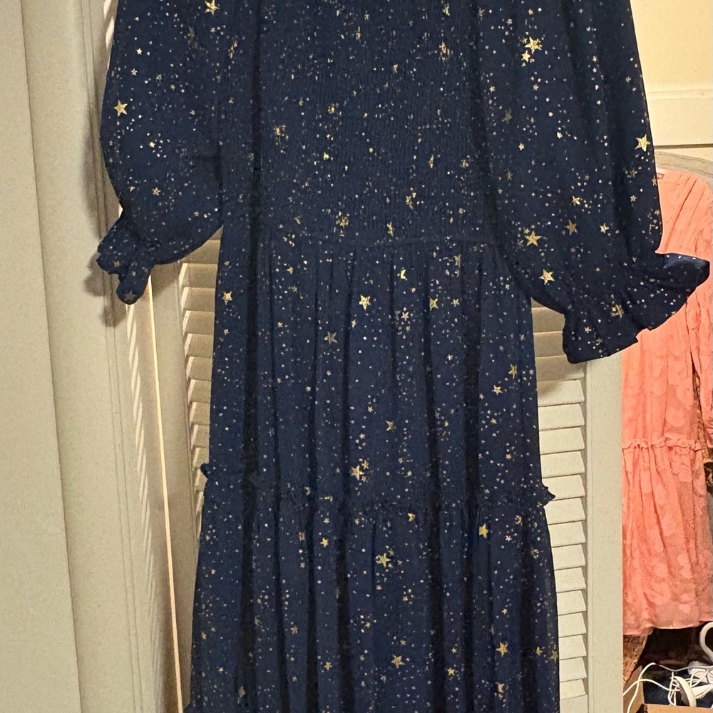 Ivy City Co Midnight Star Dress